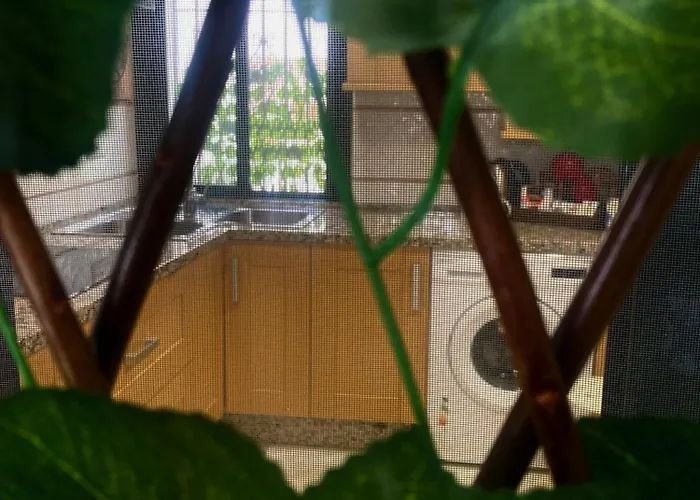 Regina Appartement Córdoba