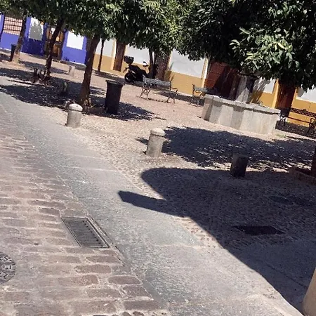 Апартаменты Regina *